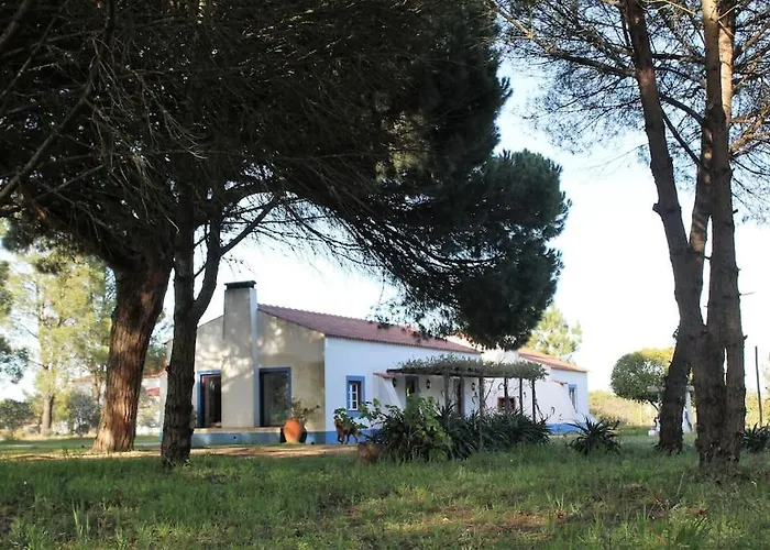 Casa Do Pinheiro