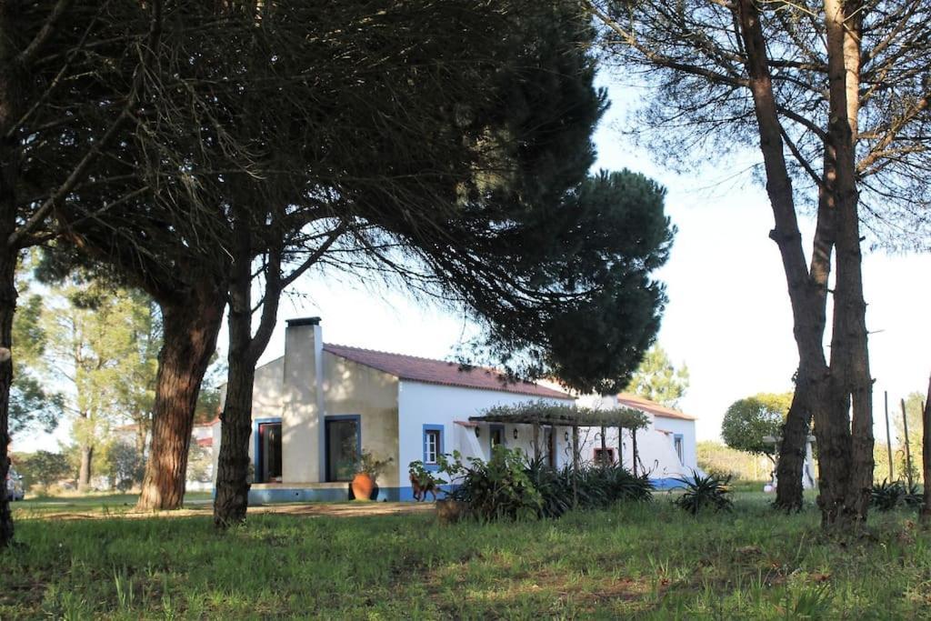 Casa Do Pinheiro *