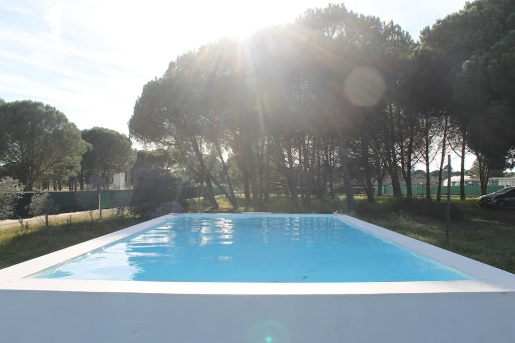 Casa Do Pinheiro Holiday home