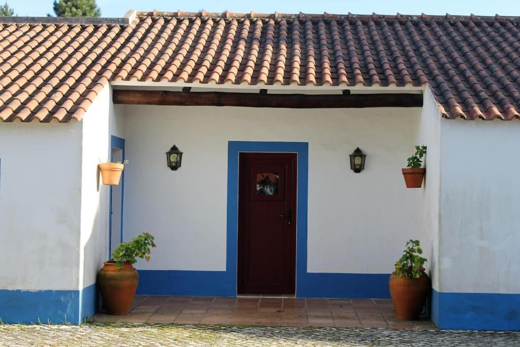 Casa Do Pinheiro Holiday home