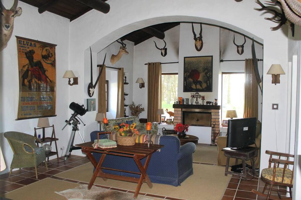 Casa Do Pinheiro Holiday home Alcacer do Sal