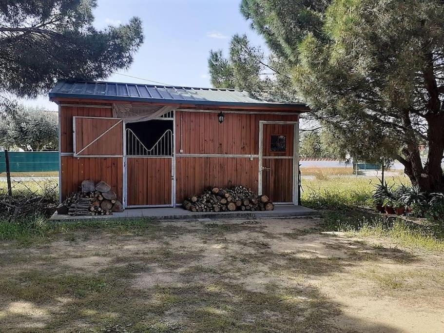 Casa Do Pinheiro Holiday home